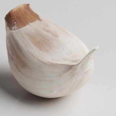 现代大蒜蔬菜-2